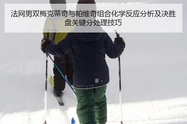 fa-wang-nan-shuang-mei-ke-di-qi-yu-pa-wei-qi-zu-he-hua-xue-fan-ying-fen-xi-ji-jue-sheng-pan-guan-jian-fen-chu-li-ji-qiao-2-360.jpg